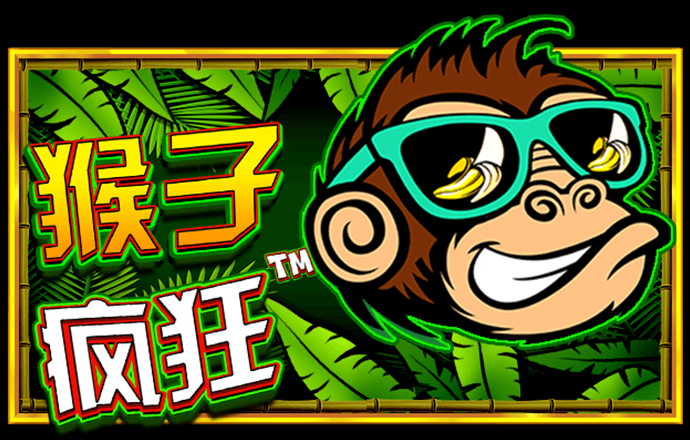 355娱乐彩票app安卓版使用方法